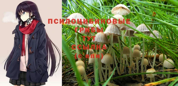 трава Костерёво