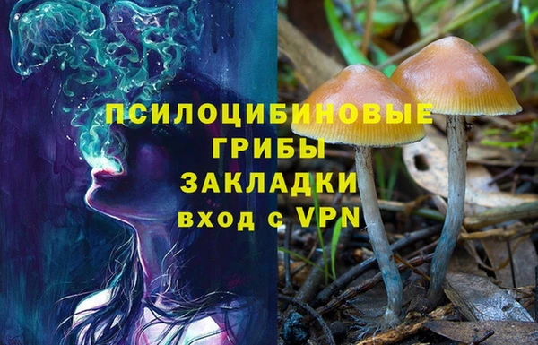трава Костерёво