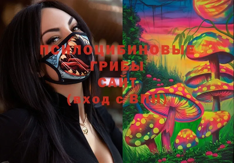 Псилоцибиновые грибы Magic Shrooms  Княгинино 