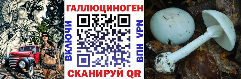 Галлюциногенные грибы Magic Shrooms  где купить   Княгинино 